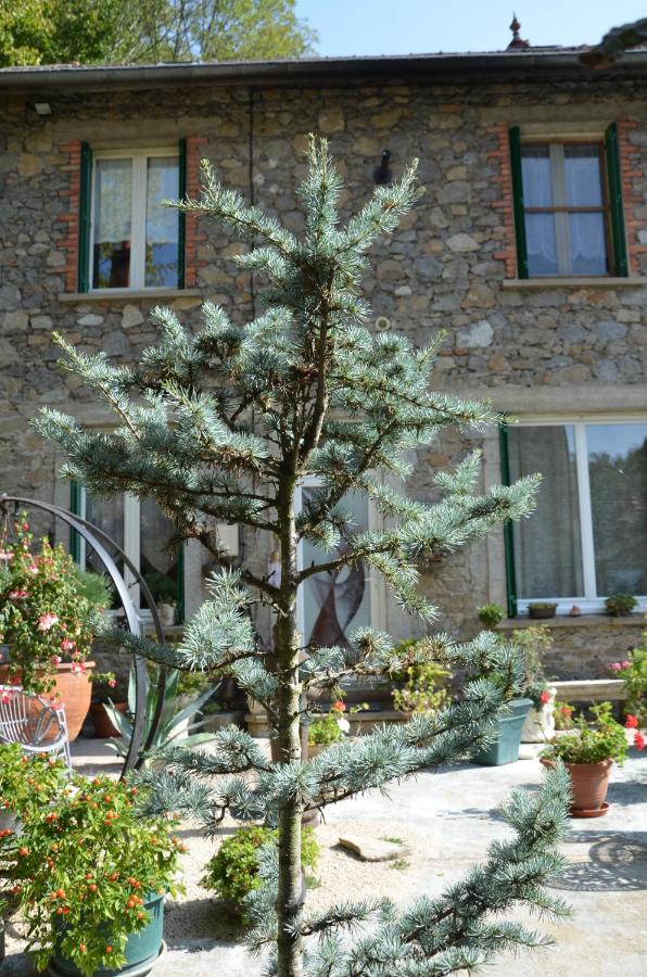 Chambre Bounty, B&B, Cuisine Privee, Lit Queen Size, Terrasse, Parking, Garage Olliergues Екстериор снимка